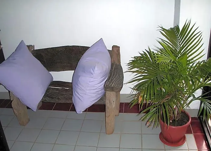 Inn Anthurium